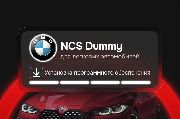 Программа для легковых авто NCS Dummy